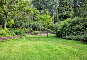 Optimiser l'expérience du jardin à Saint-Lumine-de-Clisson