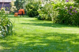 travaux jardin et paysage Saint-Lumine-de-Clisson